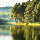 النسخة المصغرة