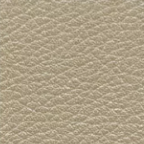 Taupe Leather